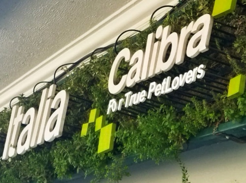 Calibra14